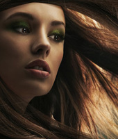 短信网页在线轰炸